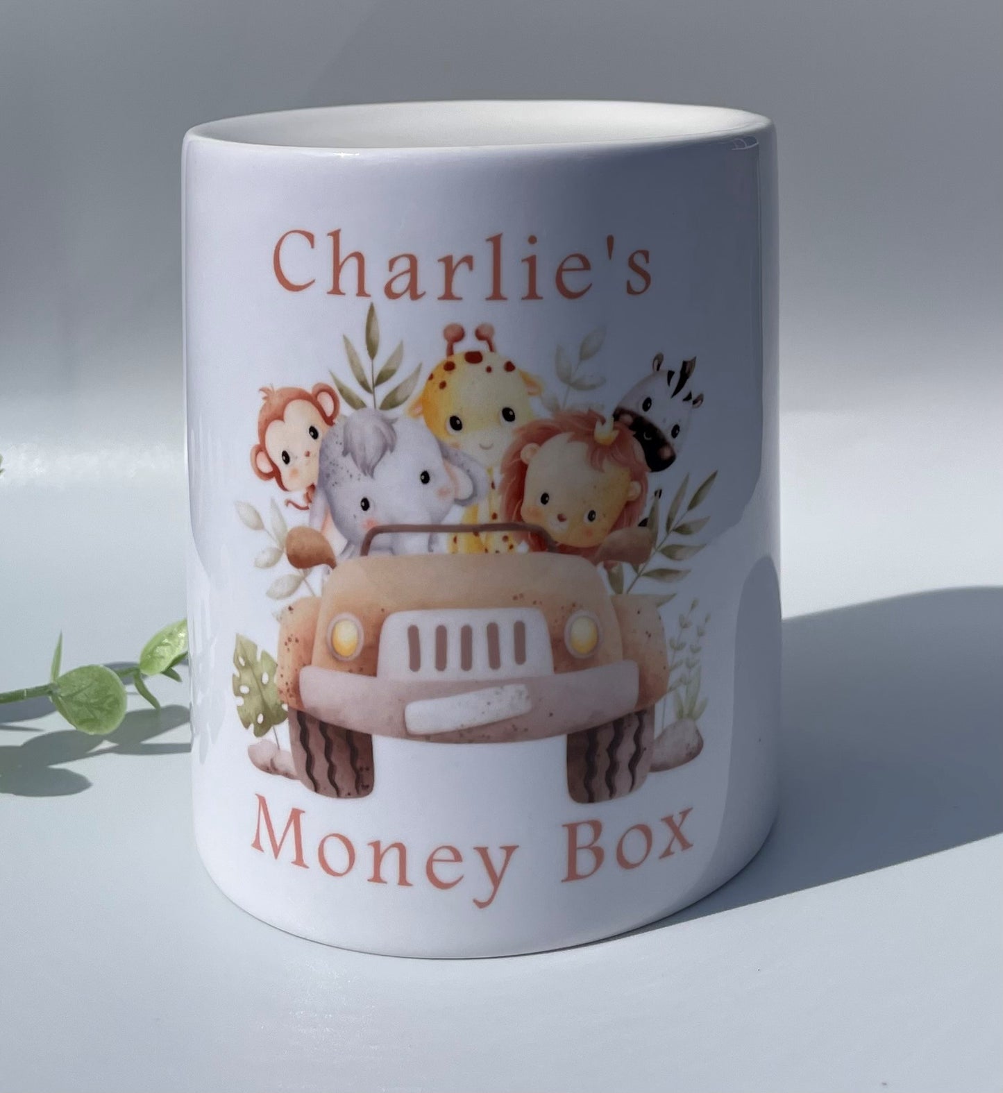 Personalised Money Boxes/Named Money Boxes/Piggy Bank